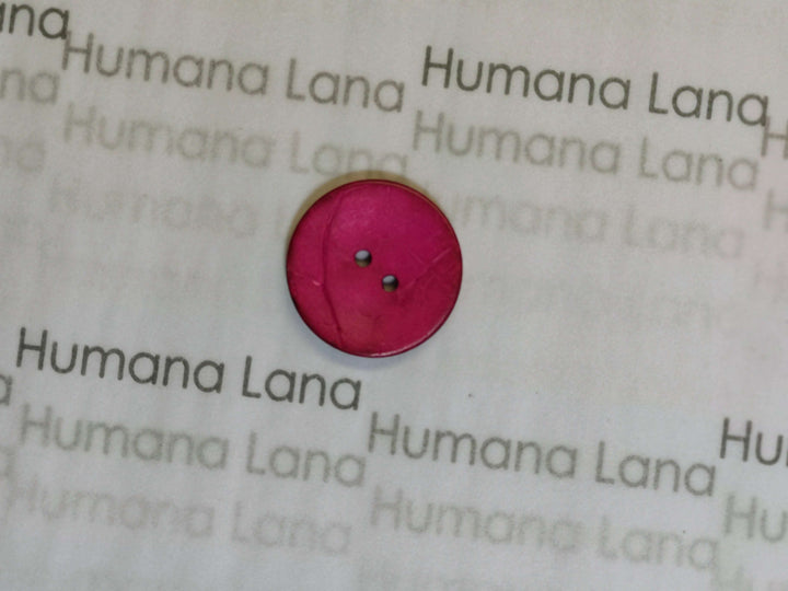 Boutons de noix de coco (25mm)