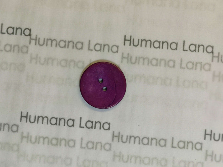 Boutons de noix de coco (25mm)