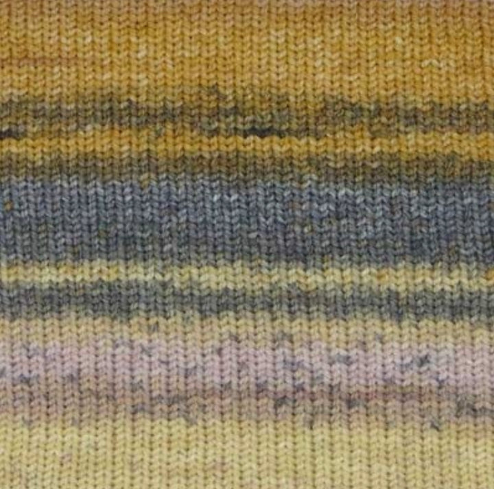 Evolution Sock par Estelle Yarns