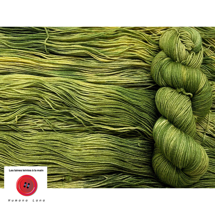 Laine Humana Lana teinte à la main
