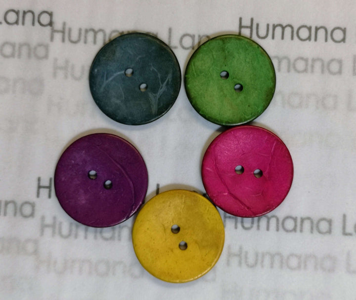 Boutons de noix de coco (25mm)