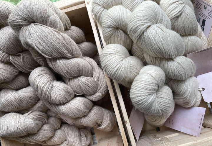 Baby Llama de Illimani yarn