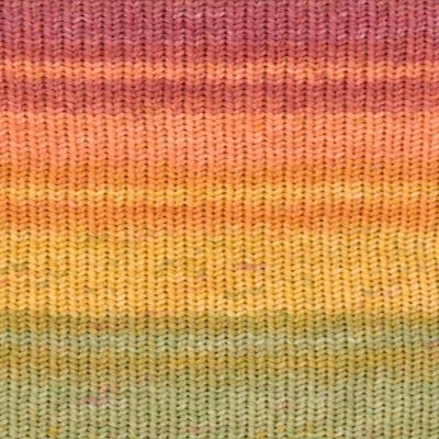 Evolution Sock par Estelle Yarns