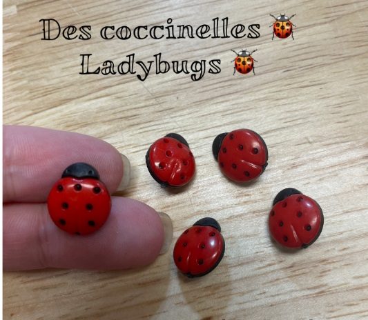 Bouton en acrylique coccinelles (15mm)