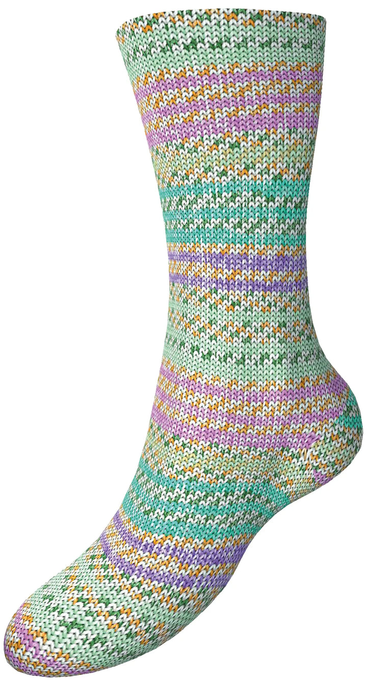 Fortissima Collection Fruhlings-Gruss