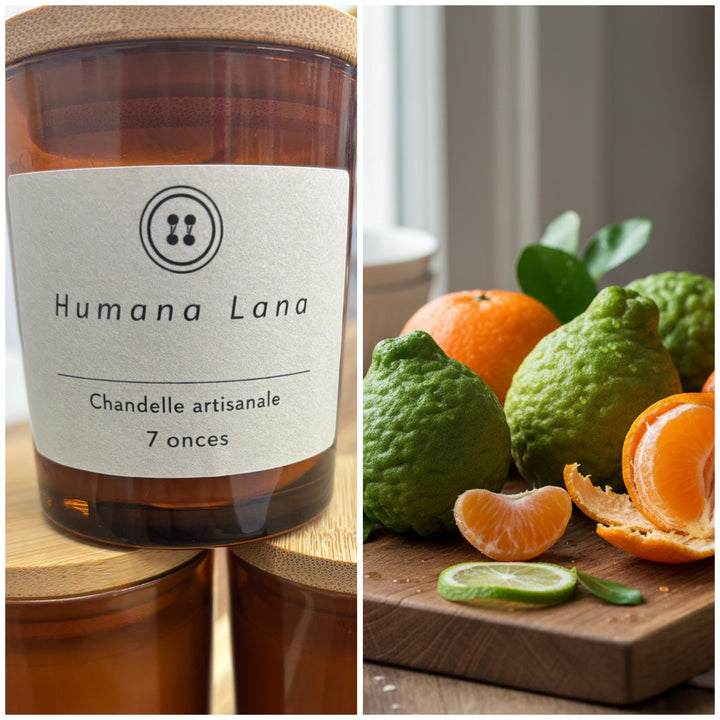 Chandelle 7oz Bergamote et madarine