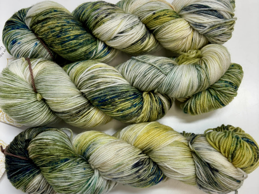 Laine à bas du Trésors Laineaux de couleur Amazone