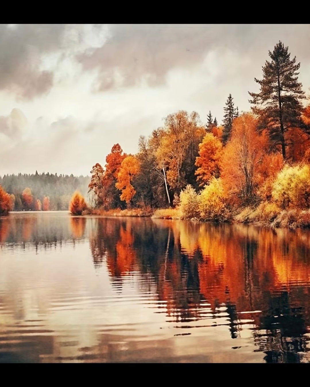 Peinture à diamant #61 50cmx50cm lac à automne