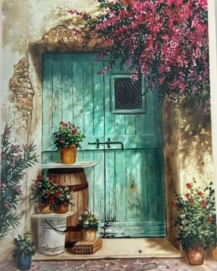 Peinture à diamant #83 30cmx40cm Porte bleue