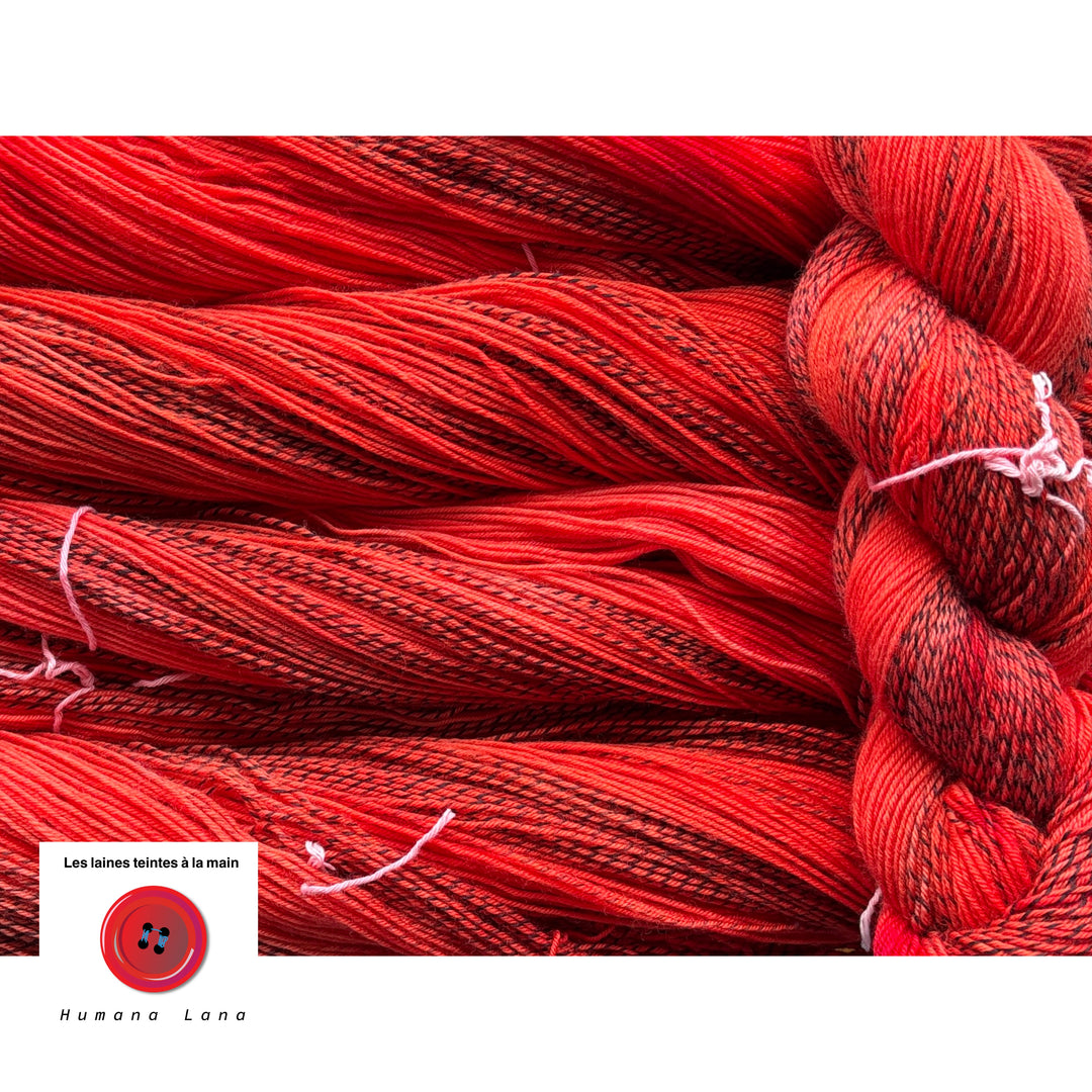 Zebra Yarn Humana Lana Merino